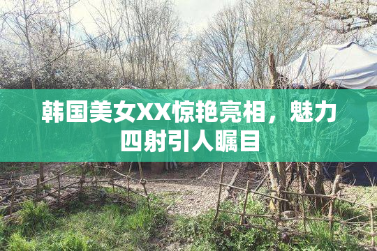 韩国美女XX惊艳亮相，魅力四射引人瞩目