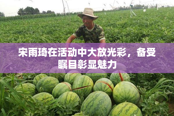宋雨琦在活动中大放光彩，备受瞩目彰显魅力