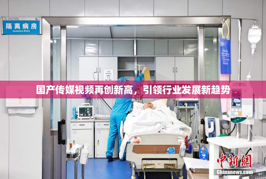 国产传媒视频再创新高，引领行业发展新趋势