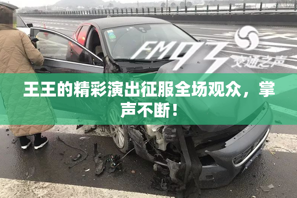 王王的精彩演出征服全场观众，掌声不断！