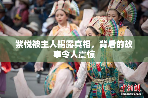 紫悦被主人揭露真相，背后的故事令人震惊