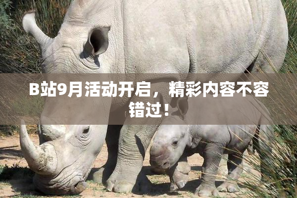 B站9月活动开启，精彩内容不容错过！