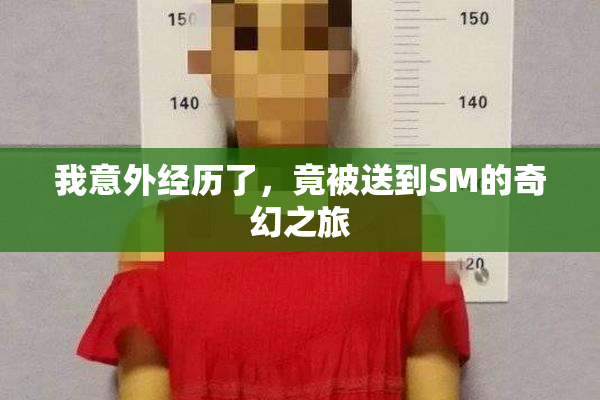我意外经历了，竟被送到SM的奇幻之旅