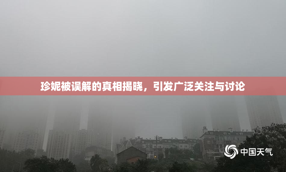 珍妮被误解的真相揭晓，引发广泛关注与讨论