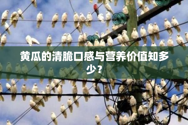 黄瓜的清脆口感与营养价值知多少？