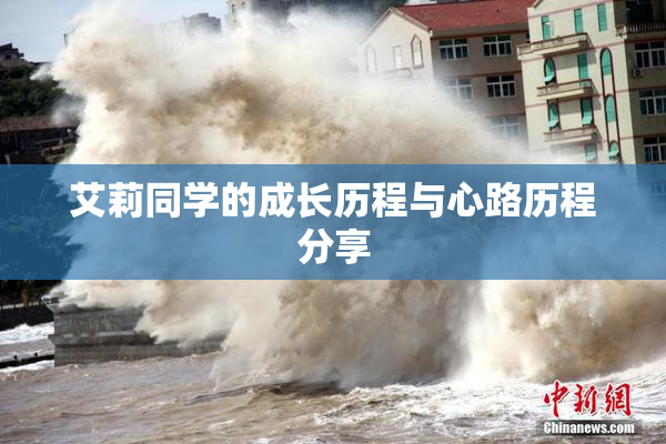 艾莉同学的成长历程与心路历程分享