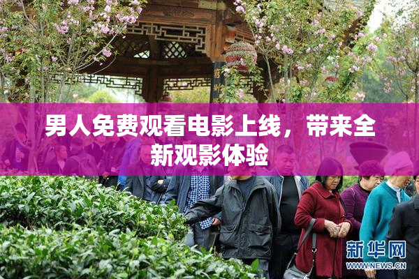 男人免费观看电影上线，带来全新观影体验