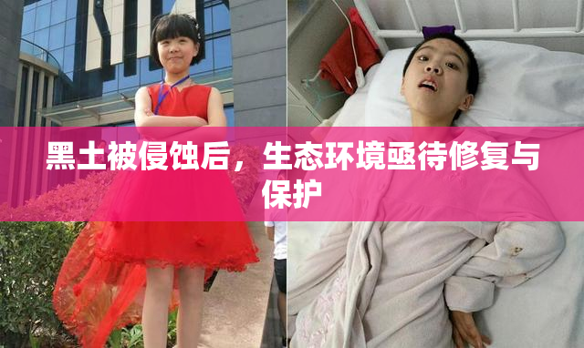 黑土被侵蚀后，生态环境亟待修复与保护