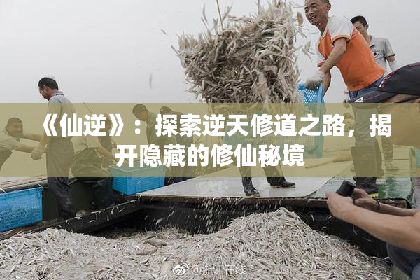 《仙逆》：探索逆天修道之路，揭开隐藏的修仙秘境