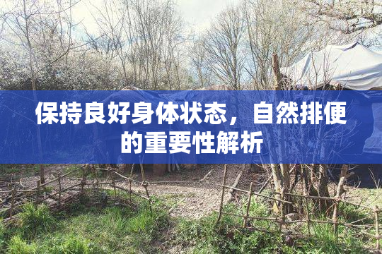 保持良好身体状态，自然排便的重要性解析