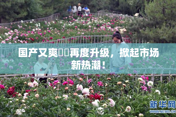 国产又爽❌‌再度升级，掀起市场新热潮！