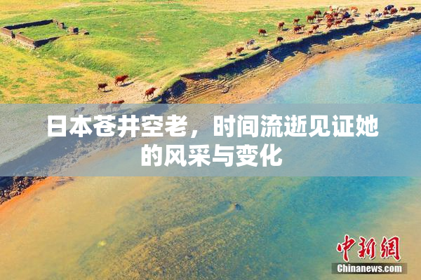 日本苍井空老，时间流逝见证她的风采与变化