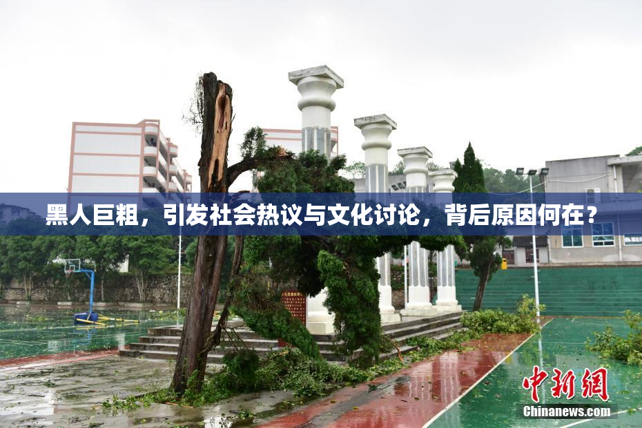 黑人巨粗，引发社会热议与文化讨论，背后原因何在？