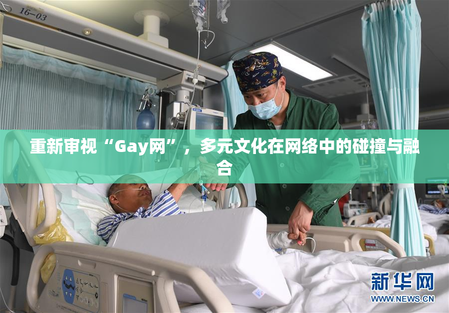 重新审视“Gay网”，多元文化在网络中的碰撞与融合