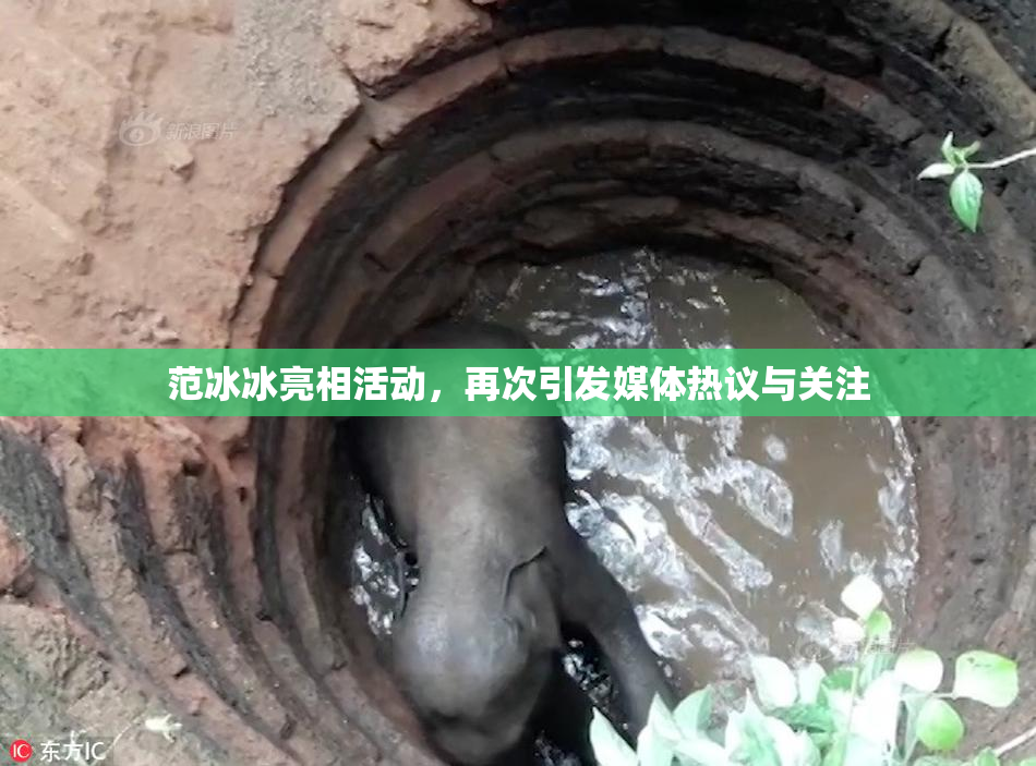 范冰冰亮相活动，再次引发媒体热议与关注
