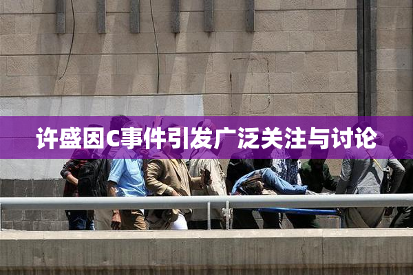 许盛因C事件引发广泛关注与讨论
