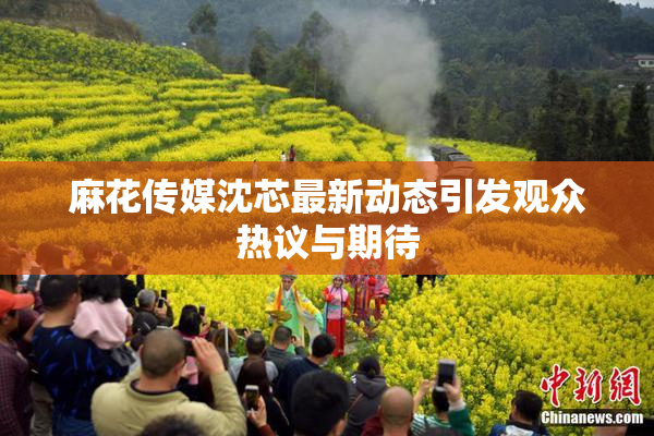 麻花传媒沈芯最新动态引发观众热议与期待