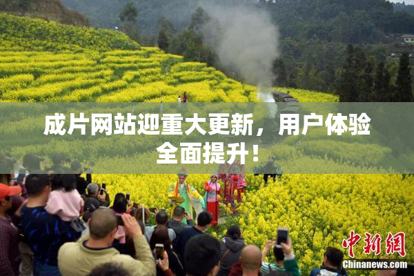 成片网站迎重大更新，用户体验全面提升！