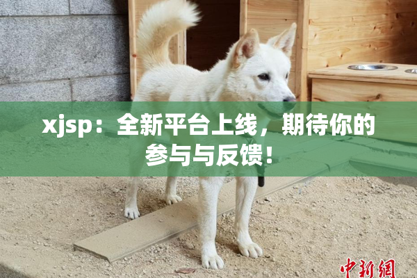 xjsp：全新平台上线，期待你的参与与反馈！