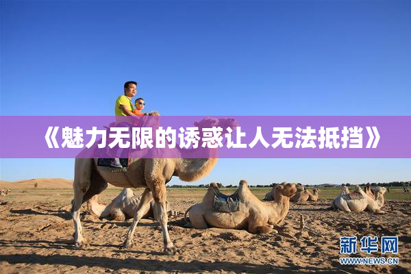 《魅力无限的诱惑让人无法抵挡》