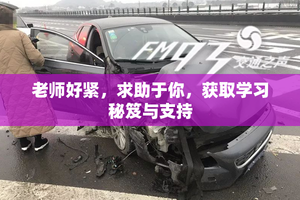 老师好紧，求助于你，获取学习秘笈与支持