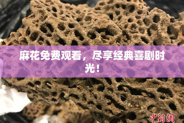 麻花免费观看，尽享经典喜剧时光！