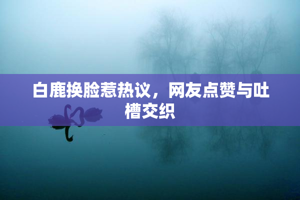 白鹿换脸惹热议，网友点赞与吐槽交织