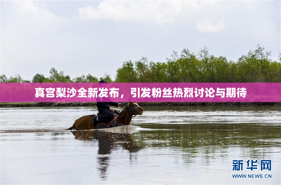 真宫梨沙全新发布，引发粉丝热烈讨论与期待