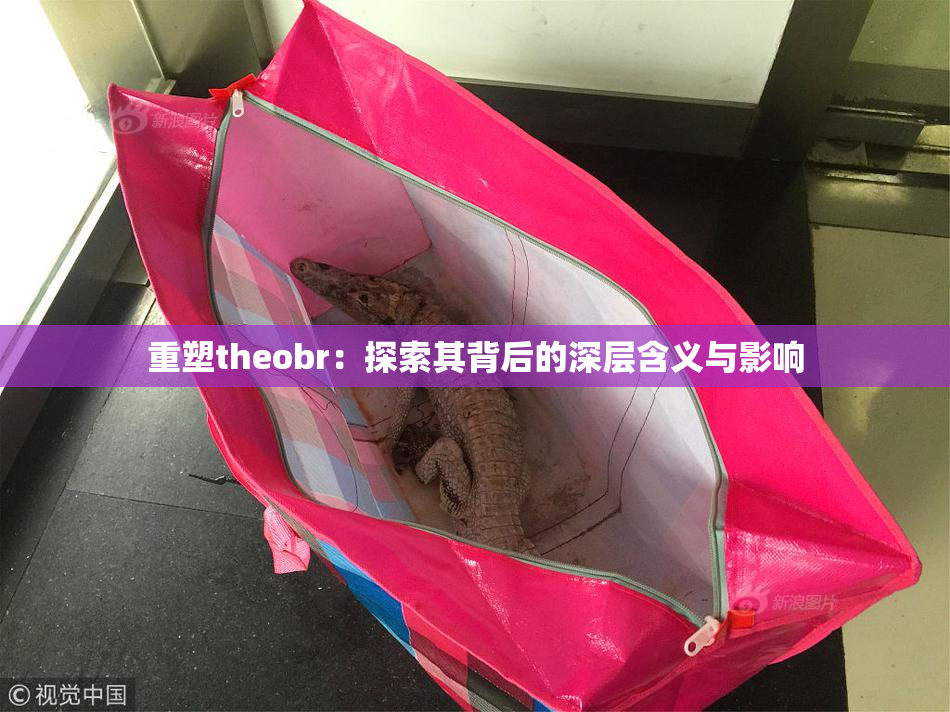 重塑theobr：探索其背后的深层含义与影响
