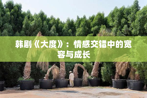 韩剧《大度》：情感交错中的宽容与成长