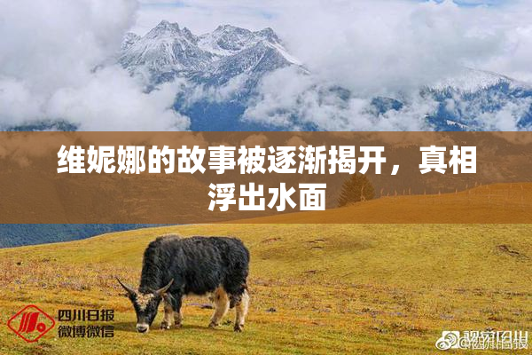 维妮娜的故事被逐渐揭开，真相浮出水面