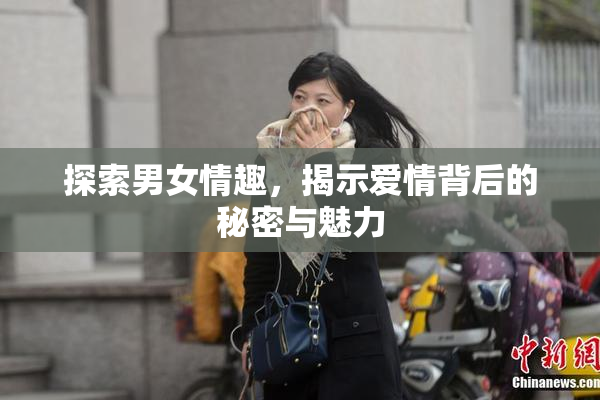 探索男女情趣，揭示爱情背后的秘密与魅力