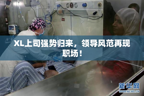 XL上司强势归来，领导风范再现职场！