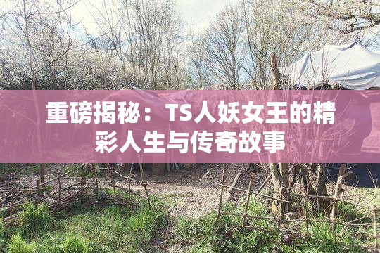 重磅揭秘：TS人妖女王的精彩人生与传奇故事