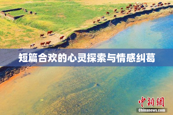 短篇合欢的心灵探索与情感纠葛