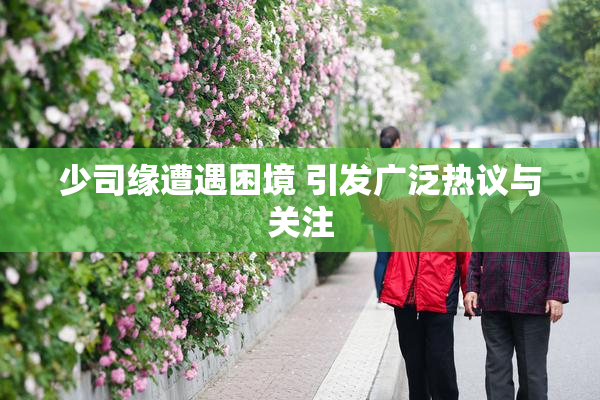 少司缘遭遇困境 引发广泛热议与关注