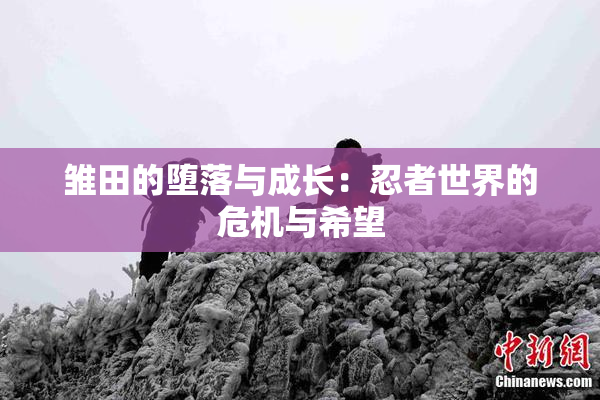 雏田的堕落与成长：忍者世界的危机与希望