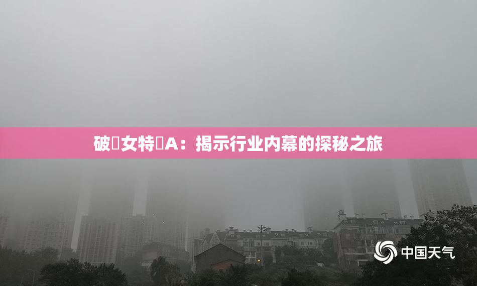 破處女特級A：揭示行业内幕的探秘之旅