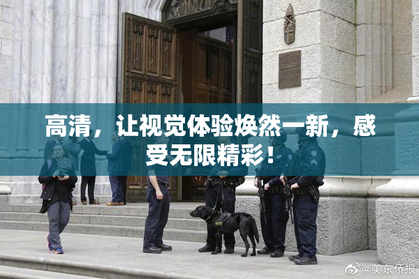 高清，让视觉体验焕然一新，感受无限精彩！