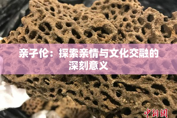 亲孑伦：探索亲情与文化交融的深刻意义