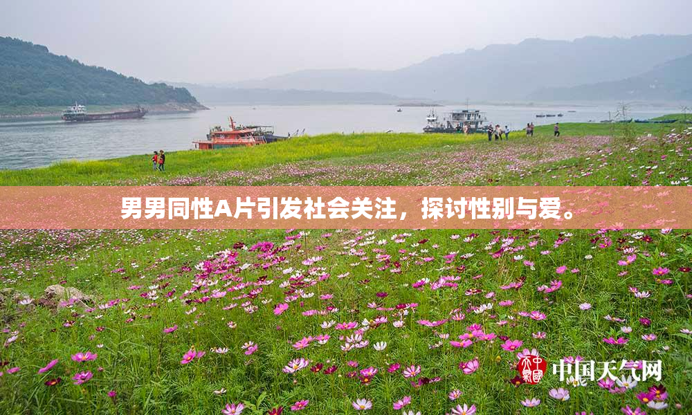 男男同性A片引发社会关注，探讨性别与爱。