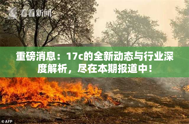 重磅消息：17c的全新动态与行业深度解析，尽在本期报道中！