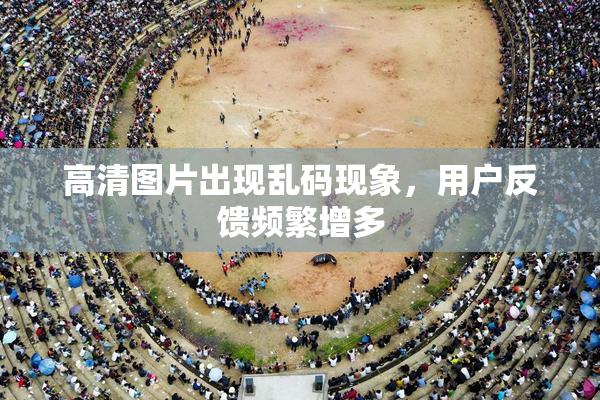 高清图片出现乱码现象，用户反馈频繁增多
