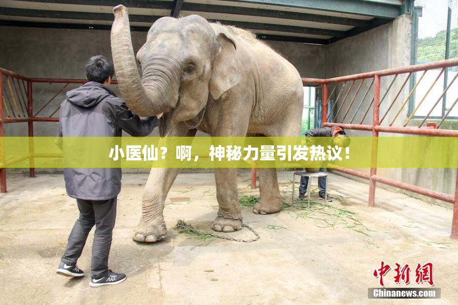 小医仙？啊，神秘力量引发热议！