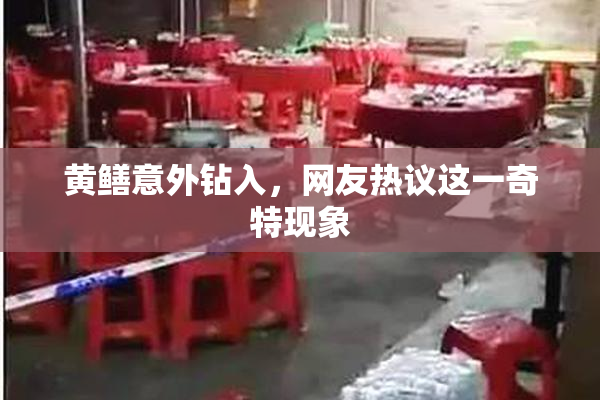 黄鳝意外钻入，网友热议这一奇特现象