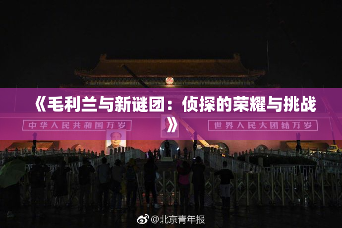 《毛利兰与新谜团：侦探的荣耀与挑战》