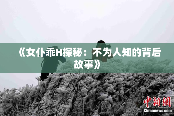 《女仆乖H探秘：不为人知的背后故事》