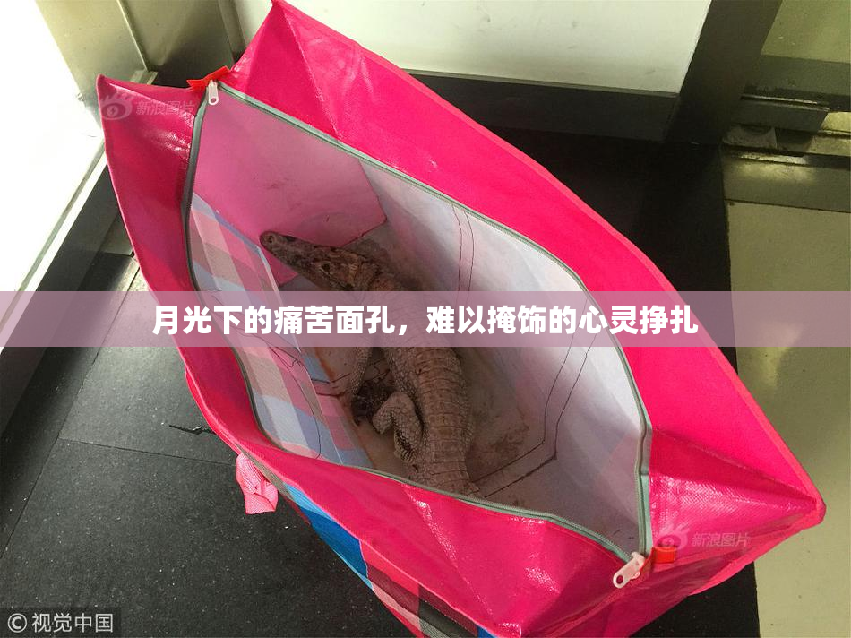 月光下的痛苦面孔，难以掩饰的心灵挣扎