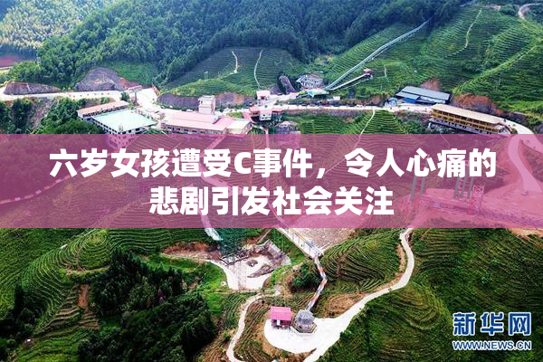 六岁女孩遭受C事件，令人心痛的悲剧引发社会关注