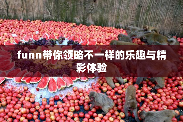 funn带你领略不一样的乐趣与精彩体验